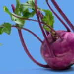 Kohlrabi1