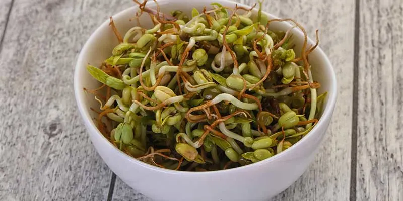 Why Should You Include 100 GM Sprouts Protein In Your Diet?